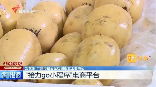 助力湖北农产品销售 广州加大采购时蔬力度